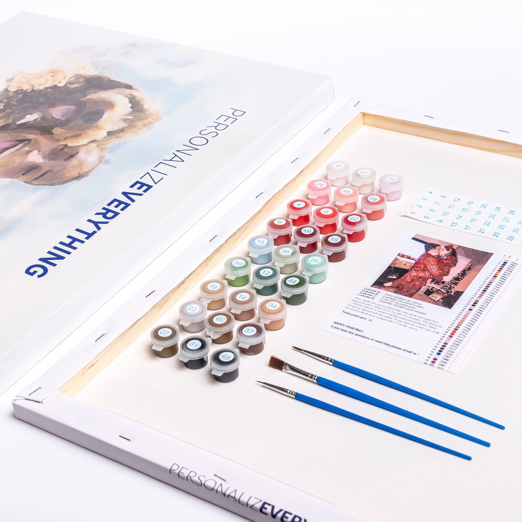 Custom Paint By Numbers kits - Bring your favorite memory to life! –  aanabanana
